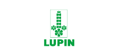 lupin